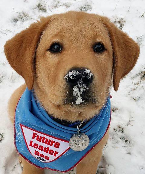 16406524_10154420749428667_6285126973434532868_n