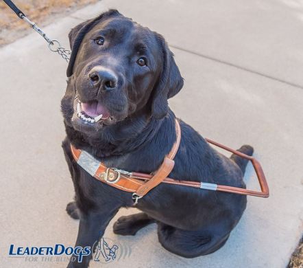 16507818_10154424731678667_3589413943846710475_n